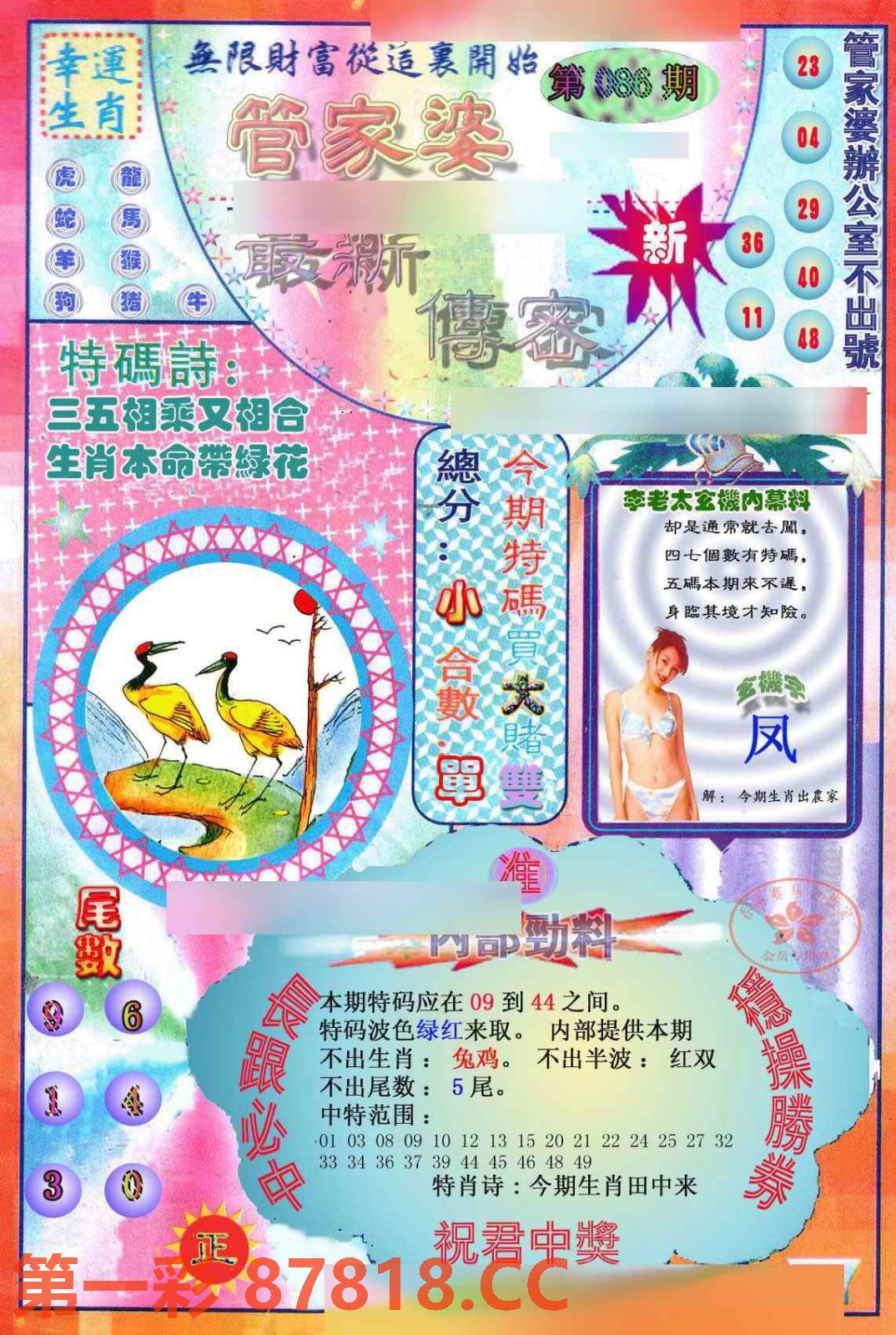 图片载入中...